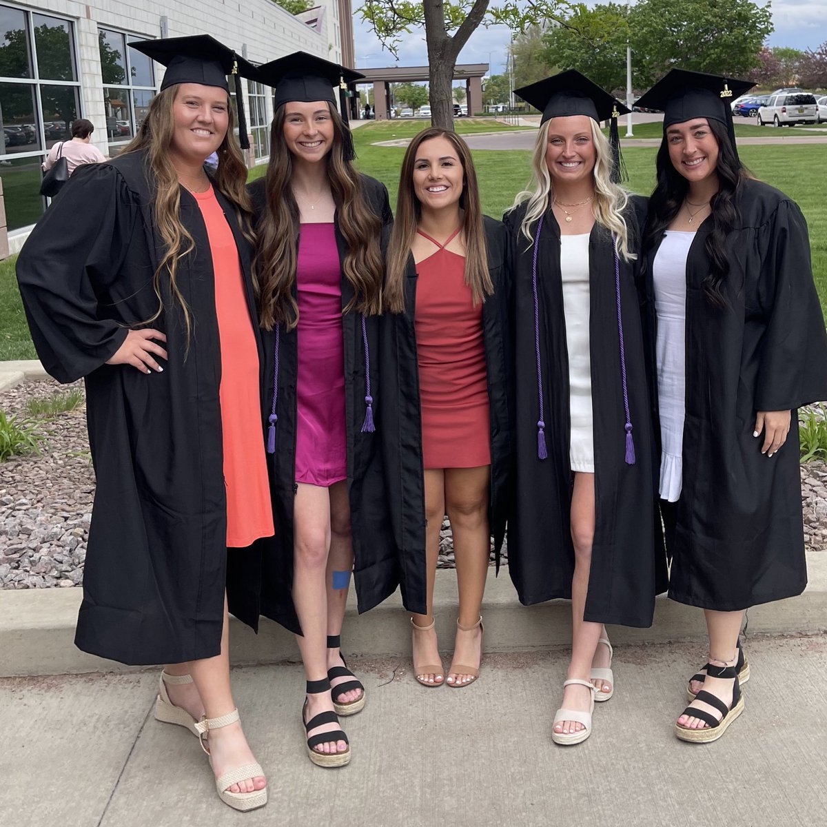 USF Softball tweet media