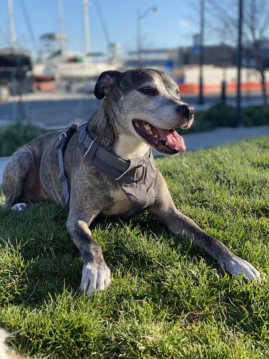 Carmen Mora-Adkins tweet media