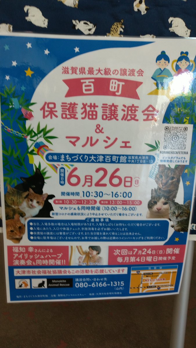 akisa_110's tweet photo. 場所はこちら‼️

 #里親大募集 
 #譲渡会 
 #拡散希望 https://t.co/UpNqm1Goyg