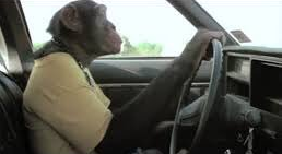 BPD_G0D's tweet photo. Q to da bros, is it even possible for a WOMAN to actually KNOW how to drive?...or use computer.. Not just DO IT...not imitating surface actions thru rote memorization..but KNOW mechanical cause &amp; effect that allows INTELLIGENT response to edge cases??..let alone troubleshootng... https://t.co/4OuDnXJmb5