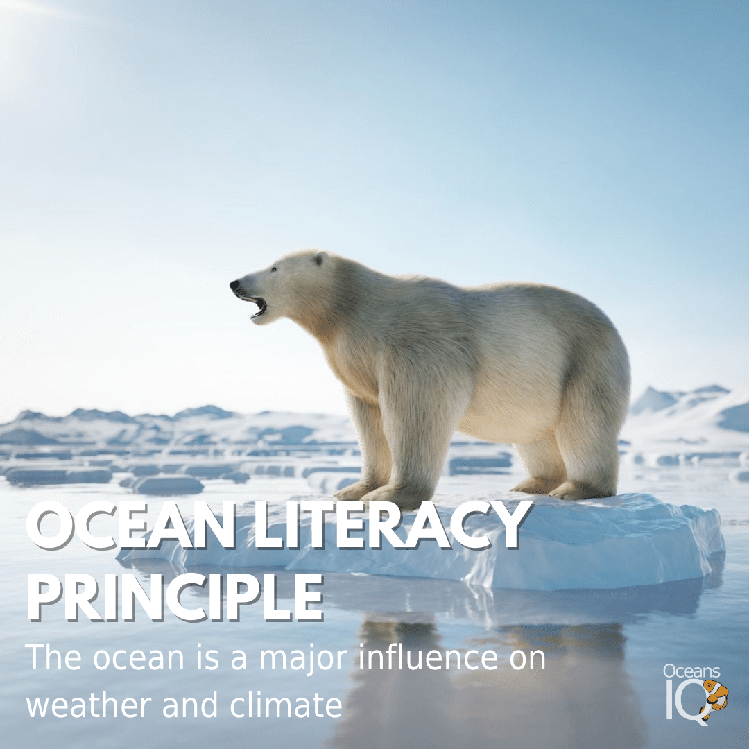 OceansIQ's tweet photo. Did you know that the ocean helps regulate climate above the water? 

It continuously exchanges heat, moisture, and carbon with the atmosphere - driving our weather patterns and influencing the slow, subtle changes in our climate.   

#Ocean #Climate #OceansIQ #SciComm https://t.co/mX4BMg0aEL