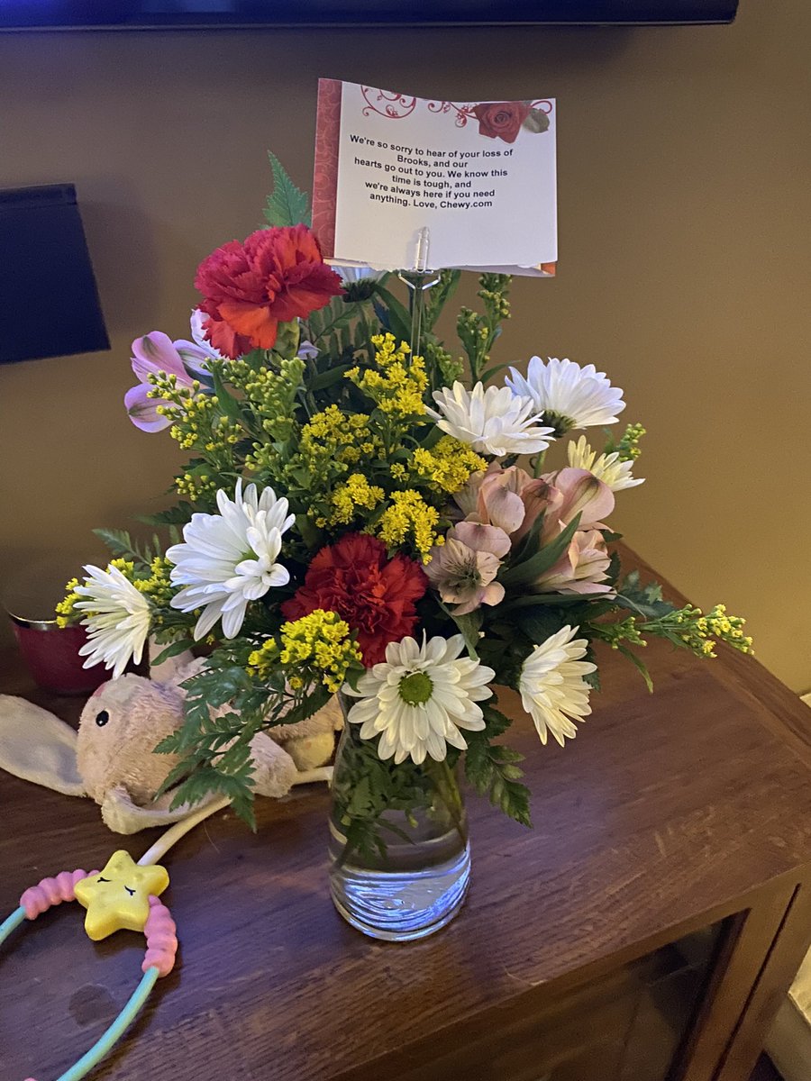 AdsPrincess08's tweet photo. @TheGoldenRatio4 @Chewy @Chewy honored Brooks too. Our sweet boys are probably playing together. https://t.co/sr6NUbaYjD