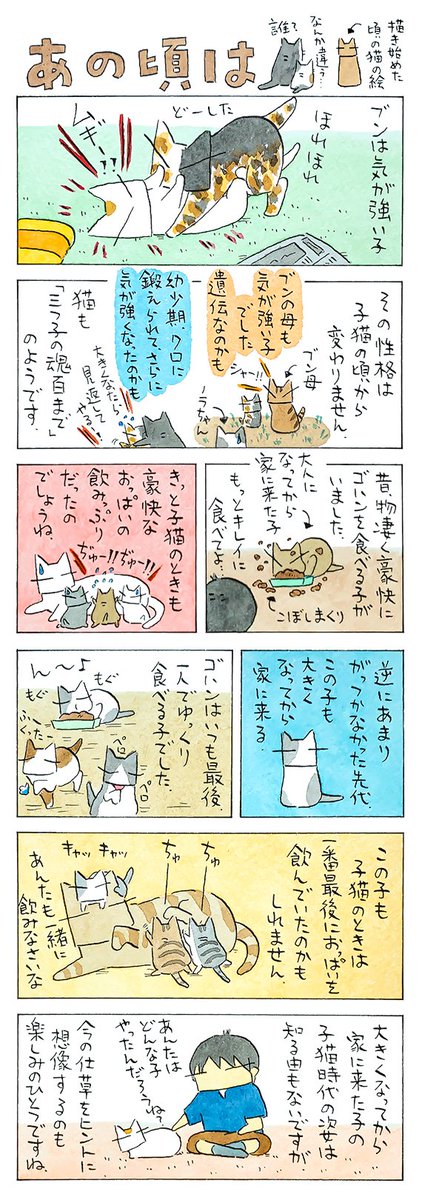 「生まれつき」
大人になっても結構残っている
子猫の頃の特徴。
こんな子猫だったのだろうか、
あんな子猫だったのだろうか。
(久保智昭さんの「猫色スケッチブック」)つづきはこちら⇒https://t.co/UuTsKmnCJf 