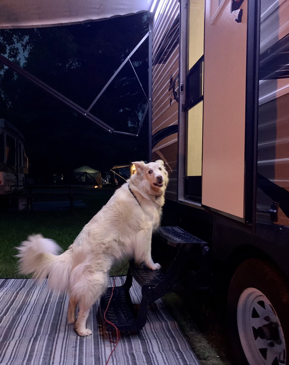 It’s rainy and there are boom booms so I’m not staying outside wif da silly hoomanz and my weird sister. 🙅🏻‍♀️ #ONStorm #Camping #maylongweekend