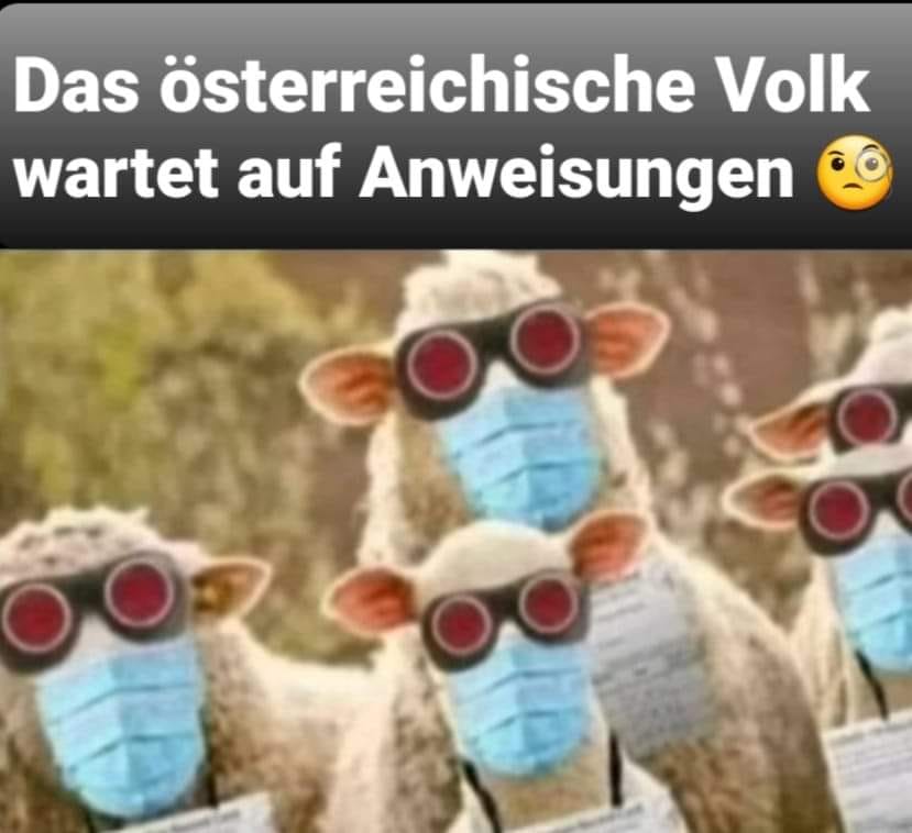 Philine ⚜️🎨 tweet media