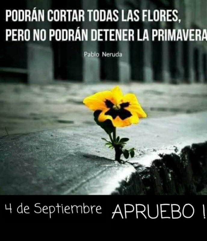 Lorena Garcia del 38% (@lorenacotycoty) on Twitter photo 
