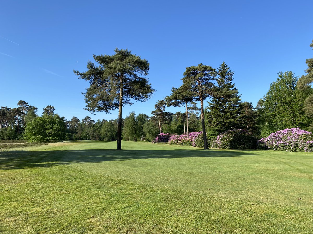 Hoofdklasse finales op Hooge Graven ☀️ ⛳️ <a href="/NGF_/">NGF</a>