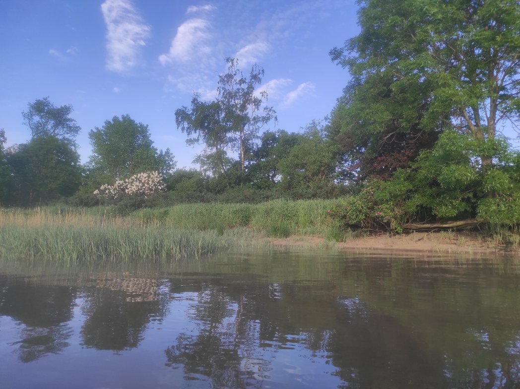 imnej7's tweet photo. Per mia boato mi frumatene vizitis la insulon kontrau #Rechtenfleth - unuafoje en 2022 🚣🏊
Schönen Sonntag https://t.co/EuPfPVJA6m