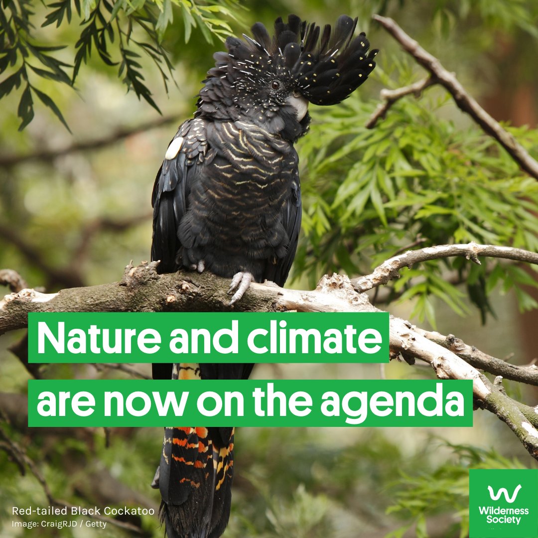 Wilderness_Aus's tweet photo. Protecting nature is central to a safe climate &amp; a liveable planet. 

Beyond the election, nature needs to be a government priority, like aged care, defence or gender equality.

#Extinction &amp; habitat destruction cannot be side issues that get tossed a few bucks toward a solution. https://t.co/AhlR8jIZVa