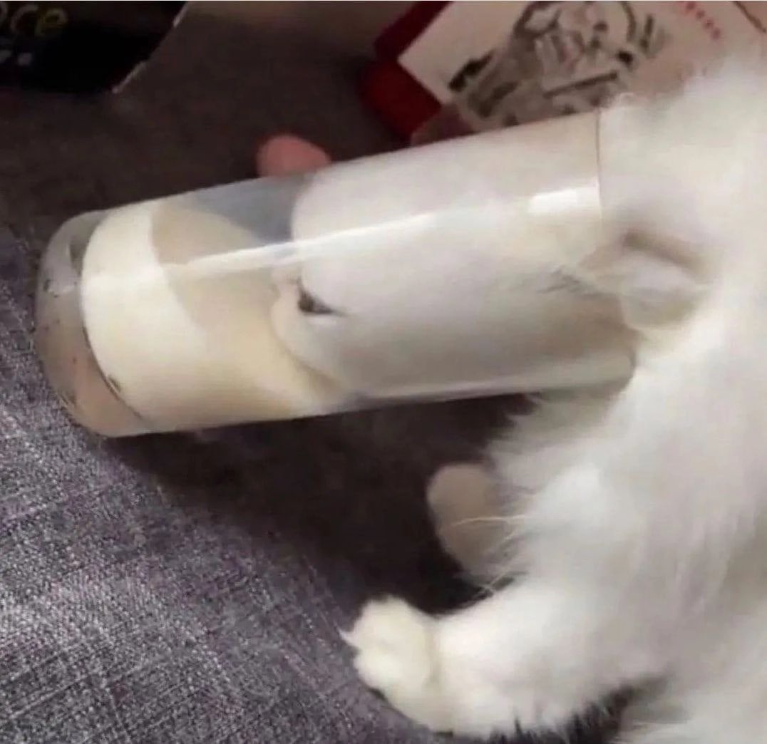 good morning gophers, how is your weekend going?  #nft #NFTGiveaway #NFTs #nftart #NFTCommumity #NFTGiveaways #rarible