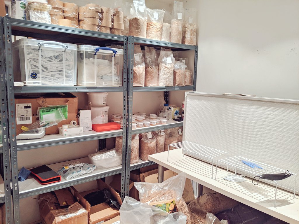 The Lockdown Garden tweet media