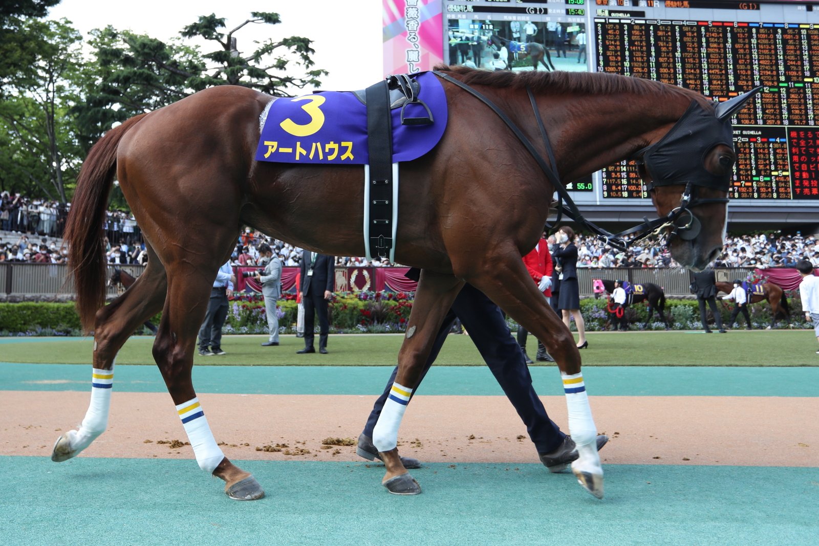 Jra Van公式 オークス ベストターンドアウト賞 馬名 アートハウス 厩舎名 中内田 厩舎 厩務員名 松崎圭介 調教助手 に決定 こちらは最も美しく手入れされ よく躾けられた馬を担当する厩務員の努力を称え 表彰されたものです おめでとうございます