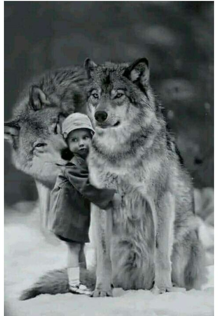 HarintonJose's tweet photo. @NoraGuillen63 @MangoToday Muchos abrazos y besos te cuidas mucho https://t.co/qbGSIQvGWx