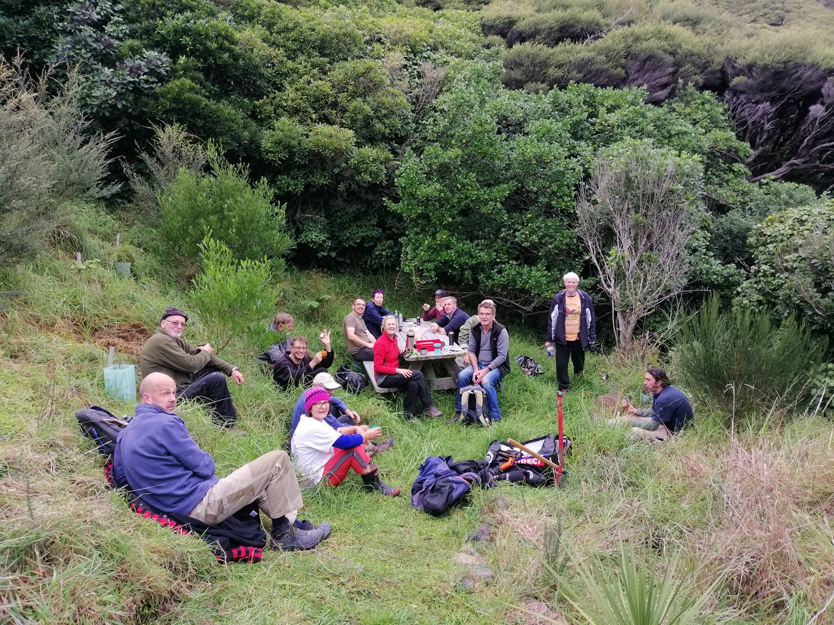 NgaUruora1's tweet photo. We had a fantastic morning planting at Pukerua Bay with a great turn out.

Heartening to see all the growth of last year's planting as well and the kohekohe is having a strong flowering year too. https://t.co/fJerVZWZLQ