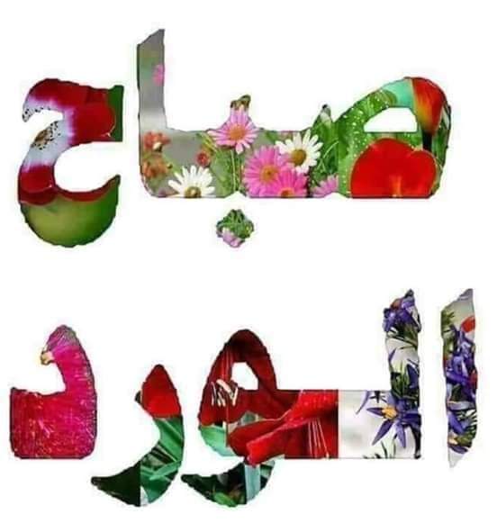 <a href="/Tarekeedmohame2/">Tarek eed mohamed</a> <a href="/I1frsA9KDlAS6ER/">الحاج لحظى</a> <a href="/Mervat44594894/">❤️Mervat❤️</a> <a href="/NHCuLY2yZZooReB/">الجوهري المصرى</a> <a href="/NahedKhojah/">عبر الزمان💚خلف الگيان👑 Nahoda</a> <a href="/fd679/">Fatima Dossary</a> <a href="/almuhannaa_f/">ام روز</a> <a href="/9OMT7u8UkfSIIn7/">مساج الرياض</a> <a href="/fXLxB69VrRJtIpY/">الحاج عيد الفردى🇪🇬🇪🇬</a> <a href="/DreemEnti/">الخنساء</a> <a href="/mobile23237/">💖أبو إياد💖</a>