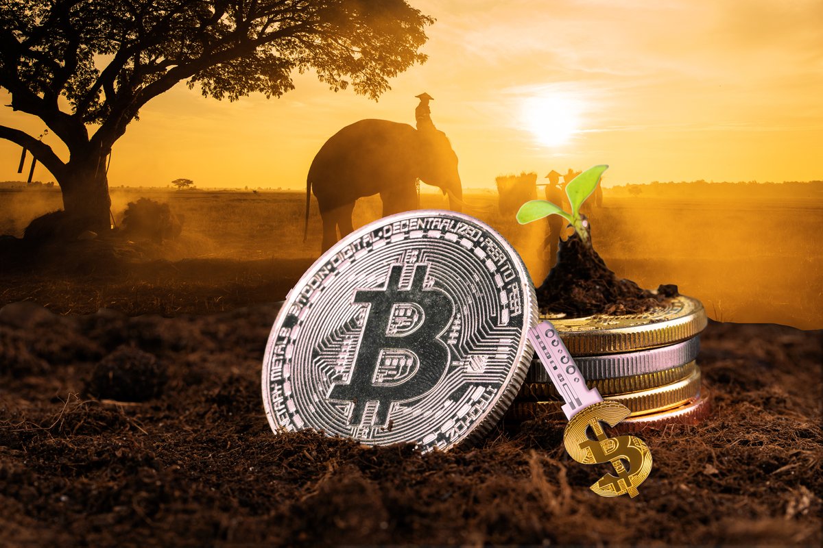 artbyvesa's tweet photo. Pitch deck main image of #ProtectToEarn

#cryptocurrency #mediciparadigm #socialresponsibility #Bitcoin https://t.co/l3B5HeCl9t