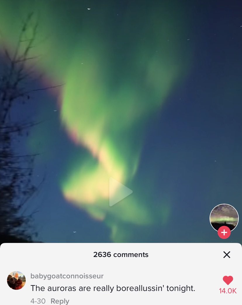 disguisedapathy's tweet image. 