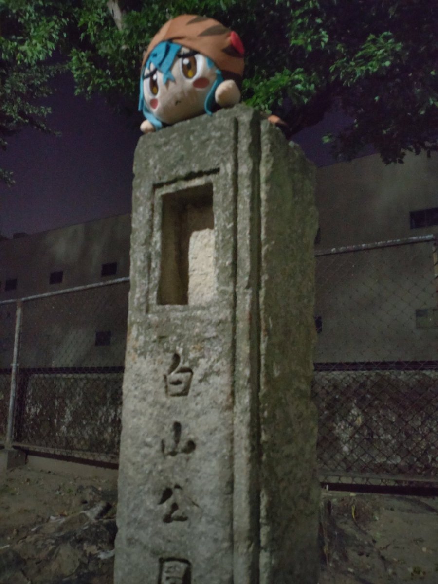 chaba1248's tweet photo. ツチノコと夜散歩 https://t.co/jsLSII7vhS