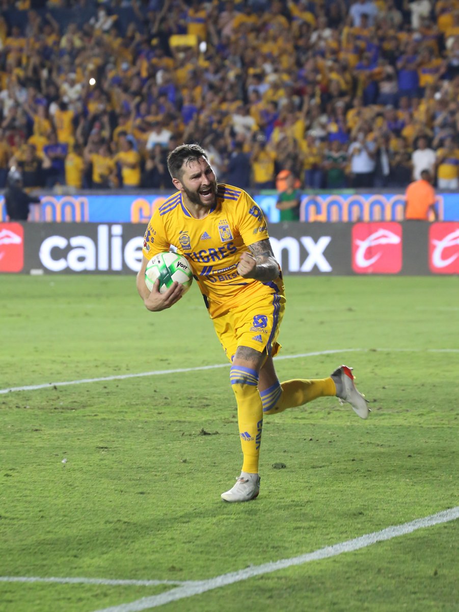 TigresOficial's tweet photo. G O L 3 A D O R https://t.co/NGObAD9HOU