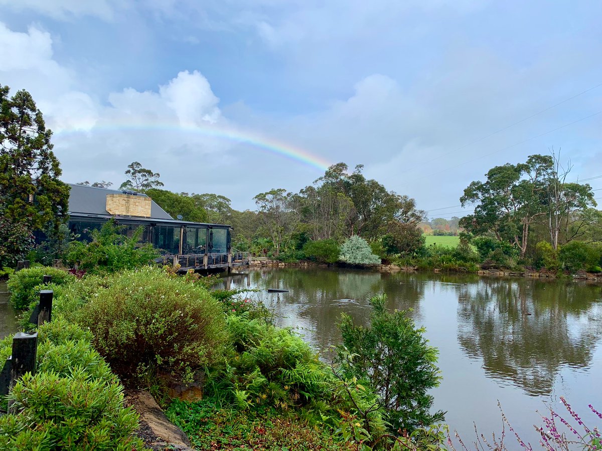 Kelly Bissett tweet media