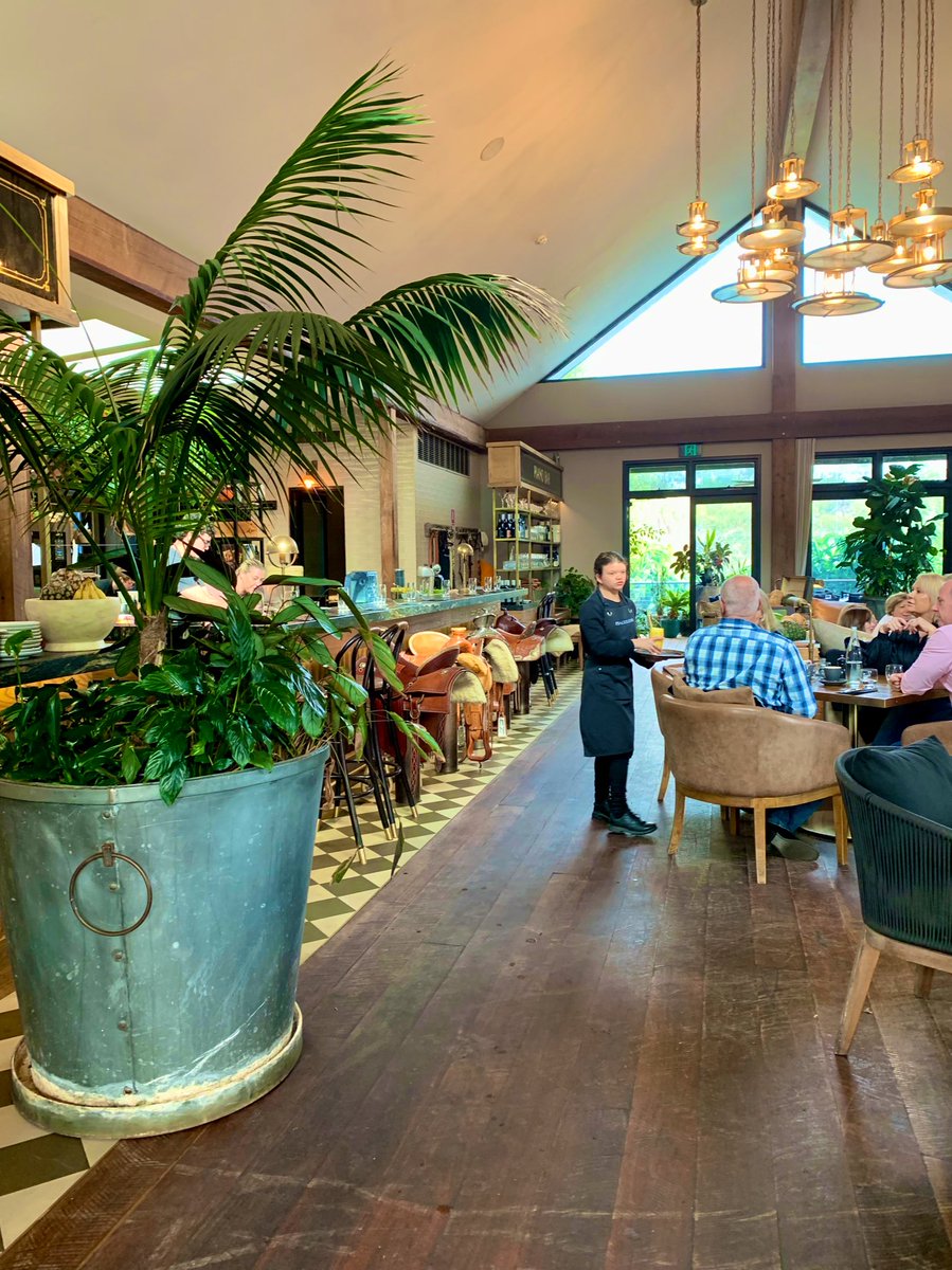 Kelly Bissett tweet media