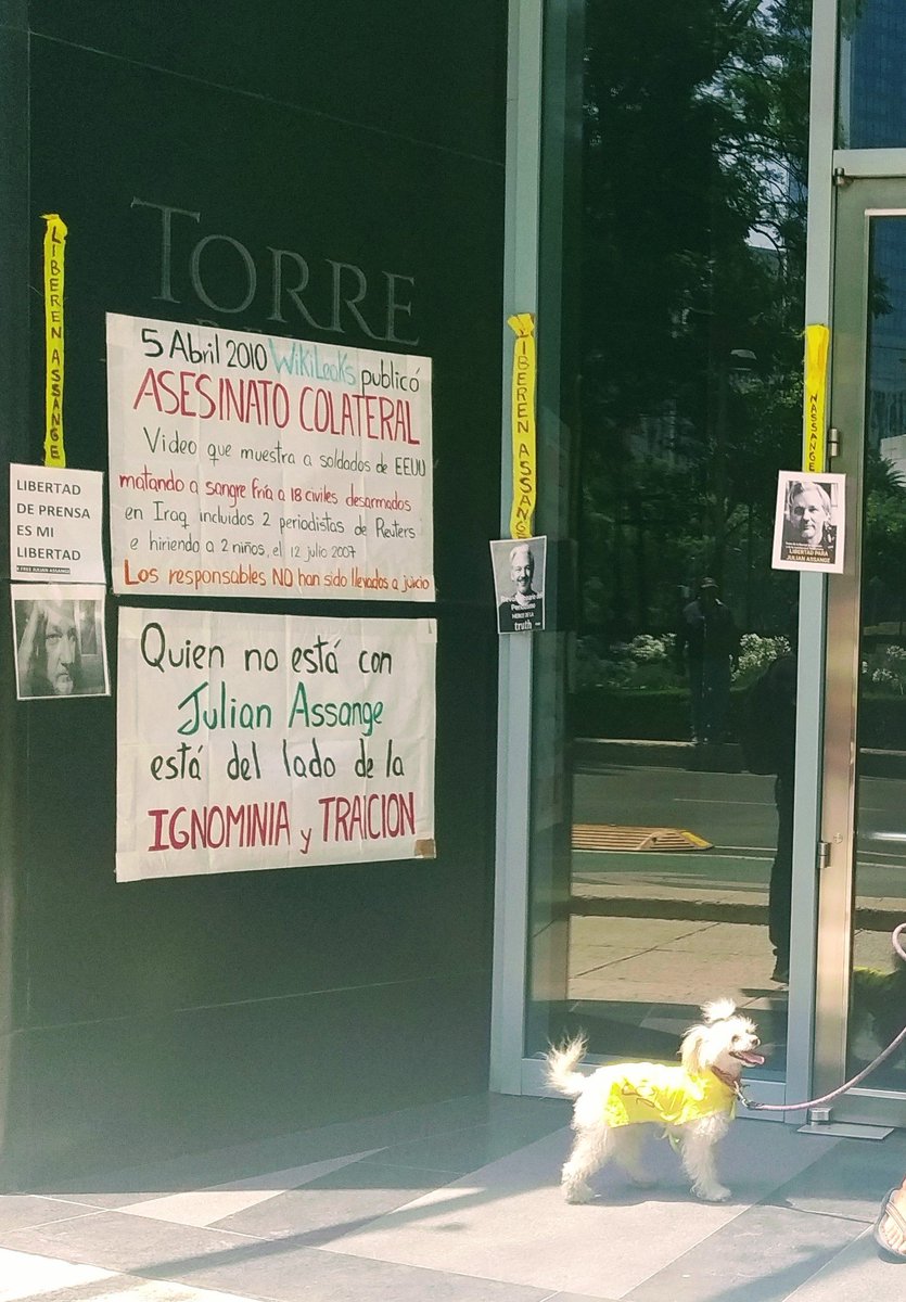Assange_libre's tweet photo. Julian's fight is our fight
#OnlyOneDecisionNoExtradition
Loud & clear at the UK Embassy gate
@JA_Defence @EfPress https://t.co/vMX8T49ceF