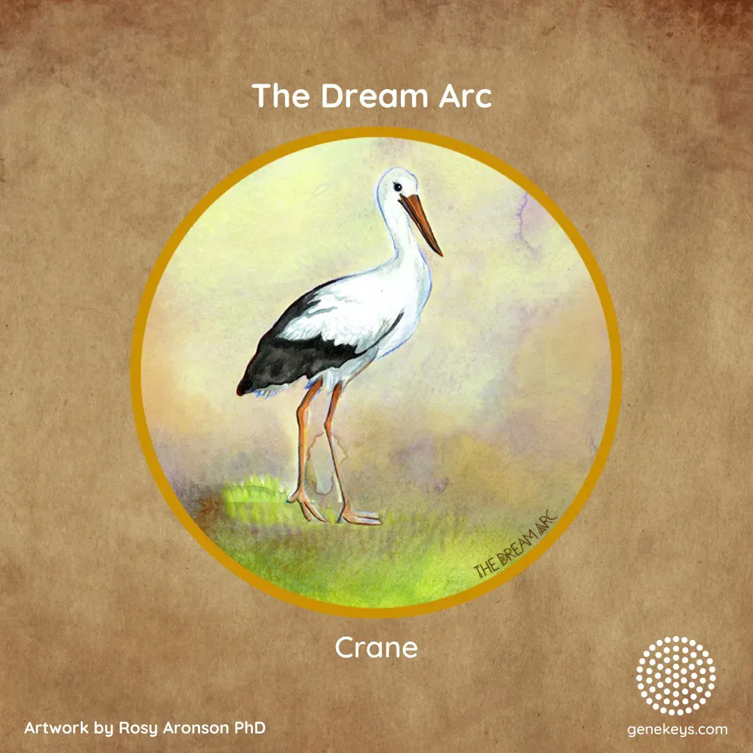 gene_keys's tweet photo. Vision Key 20: Crane
Excerpt from The Dream Arc
Learn more and register 👉 https://t.co/FrUYjQNt5Z
#genekeys #genekey20 #dreamarc #dreamtime #animal #synchronicity #magic #crane #siddhi #visionkey https://t.co/M6lWWDcqlx