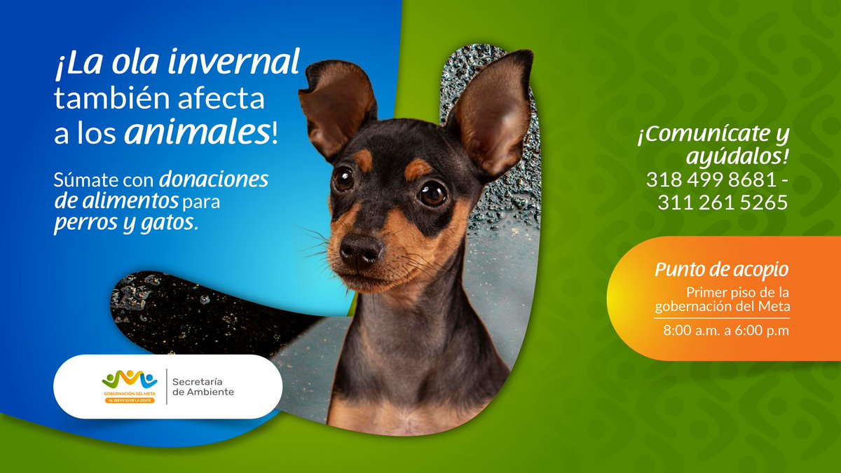 GobMeta's tweet photo. #SOSMeta 

🐶 ¡Ellos también nos necesitan! 🐱

Es momento de seguir ayudando y sumando fuerzas por los que no tienen voz. La ola invernal también los afecta. 

Comunícate o acércate al punto de acopio. https://t.co/P45kOSiXSe