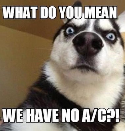 Don't let an AC breakdown and spoil the fun. Schedule now.

#hvac #hvacmeme #hvacfun #hvactech #hvactechnician #hvacexpert #hvactool #smallbusiness #hvaccompany #hvachack #hvactip #ac #acrepair #airconditioning #heater #heaterreapir #furnace #hvacquality #hirelocal #supportlocal