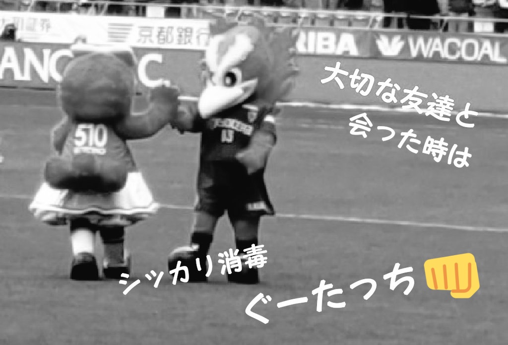 considerate_yu's tweet photo. ¸
*¨*•.¸¸❀.*･

🟣* #パーサ ＆ #コトノ*🟣

                            　   *¨*•.¸¸❀.*･

ふたりの輝きみんなに届け

京都の gentleman ❁.*
　　　　 ＆ clever girl ❀.*

#国際生物多様性の日🐦️🐥
パーサくん＆コトノちゃん
とにかく「できる」生物なり👍️

ぜひ #サンガスタジアム へ https://t.co/nyQexdzkzj