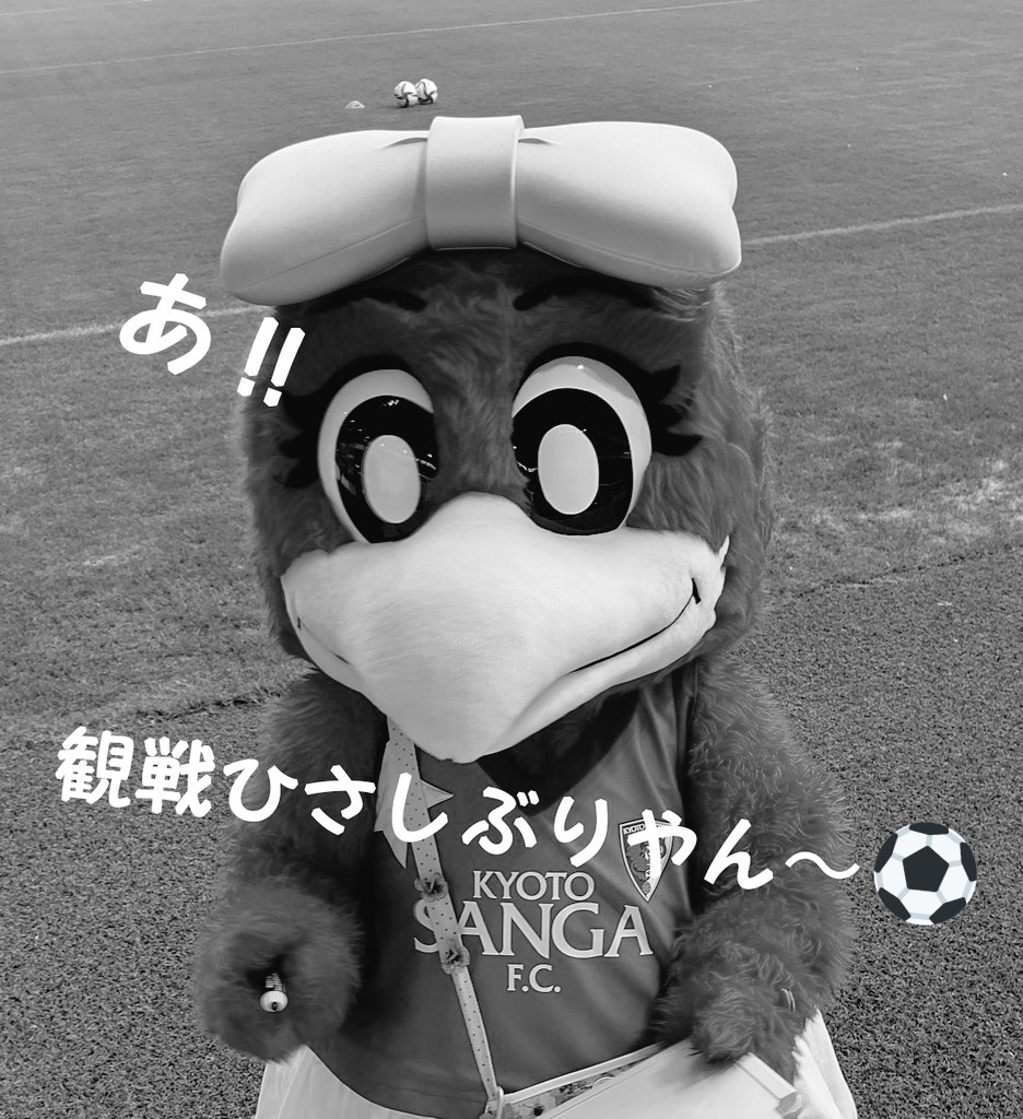 considerate_yu's tweet photo. ¸
*¨*•.¸¸❀.*･

🟣* #パーサ ＆ #コトノ*🟣

                            　   *¨*•.¸¸❀.*･

ふたりの輝きみんなに届け

京都の gentleman ❁.*
　　　　 ＆ clever girl ❀.*

#国際生物多様性の日🐦️🐥
パーサくん＆コトノちゃん
とにかく「できる」生物なり👍️

ぜひ #サンガスタジアム へ https://t.co/nyQexdzkzj