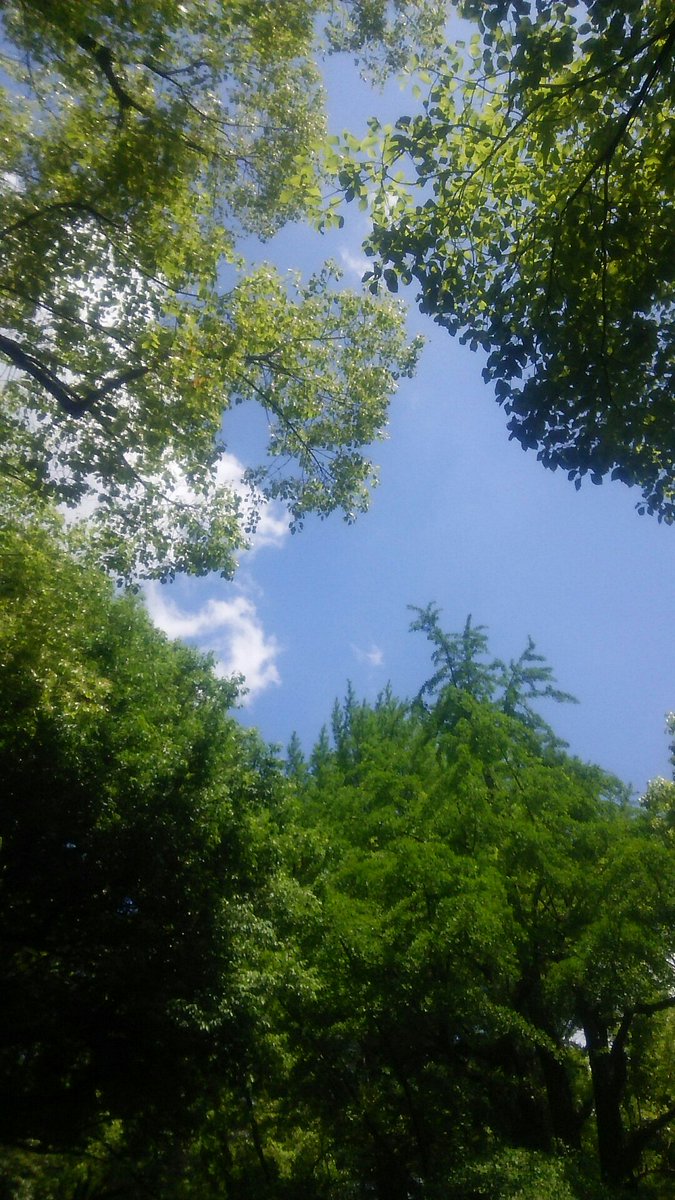 こんにちは！日比谷公園につきました。
#日比谷野音
#杉山清貴 さん
#イマソラ