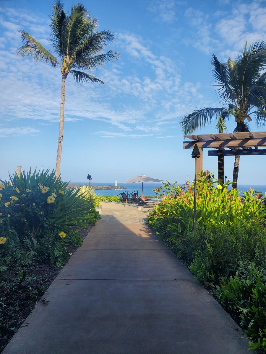 ryanfoland's tweet photo. How many π¦s do you π?
#LizardChallenge Kauai style π https://t.co/Rp2xwSTMy3