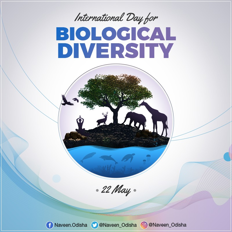 Naveen_Odisha's tweet photo. Sustainable management and protection of biodiversity are significant as they are linked to our food chain &amp; ultimately to our well-being. On International #BiodiversityDay, reaffirm commitment to protect our environment and safeguard biodiversity to build a better future. https://t.co/wevYpjnY8V