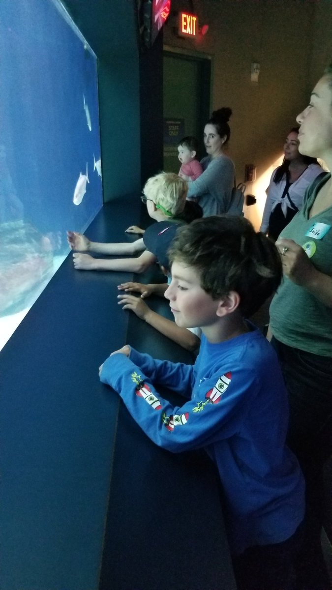 asmith_edu's tweet photo. A simply fantastic field trip! #dmheights https://t.co/SYiIQqdEYb