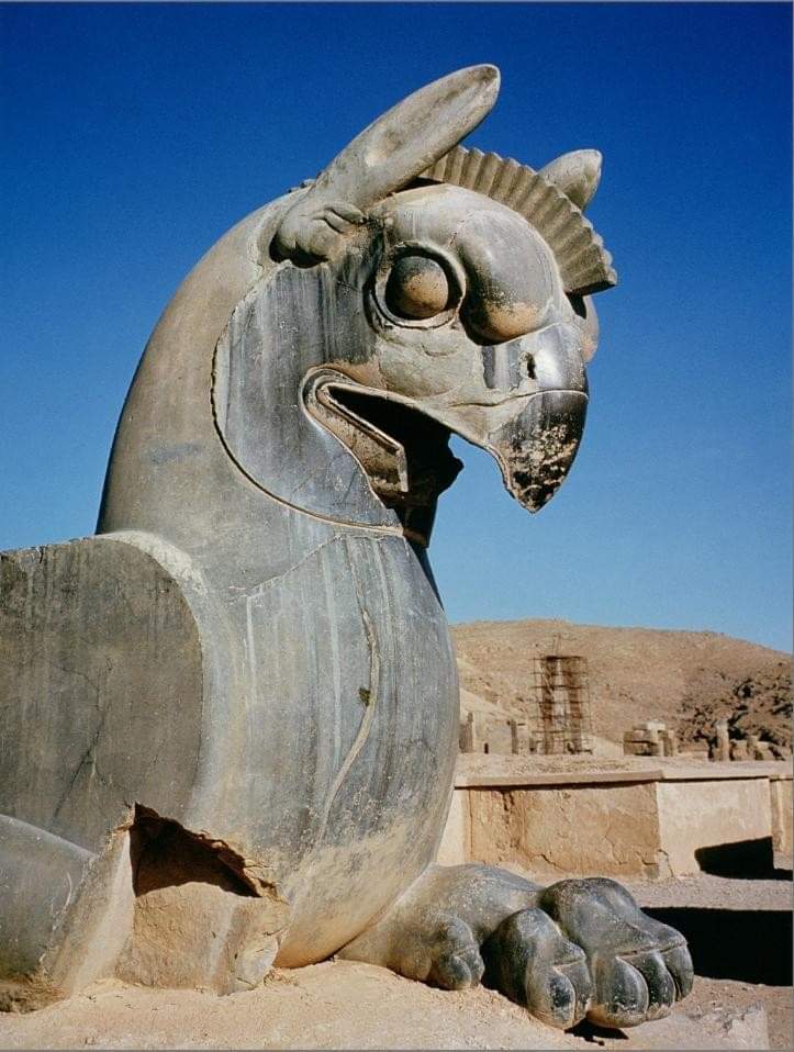 Giant Persian Griffin, Persepolis, Iran. (516-465 BC)

#archaeohistories