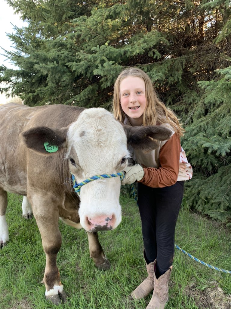 kpbrownie's tweet photo. Carys has had a great first year in the 3 Cities 4H club and would love to have you join us at the club achievement day and the 897 inter-club show &amp; sale, to show your support to our future in agriculture. 
@4halberta @4HCanada 
#learntodobydoing #4HBeef https://t.co/Tg0cdRoAei