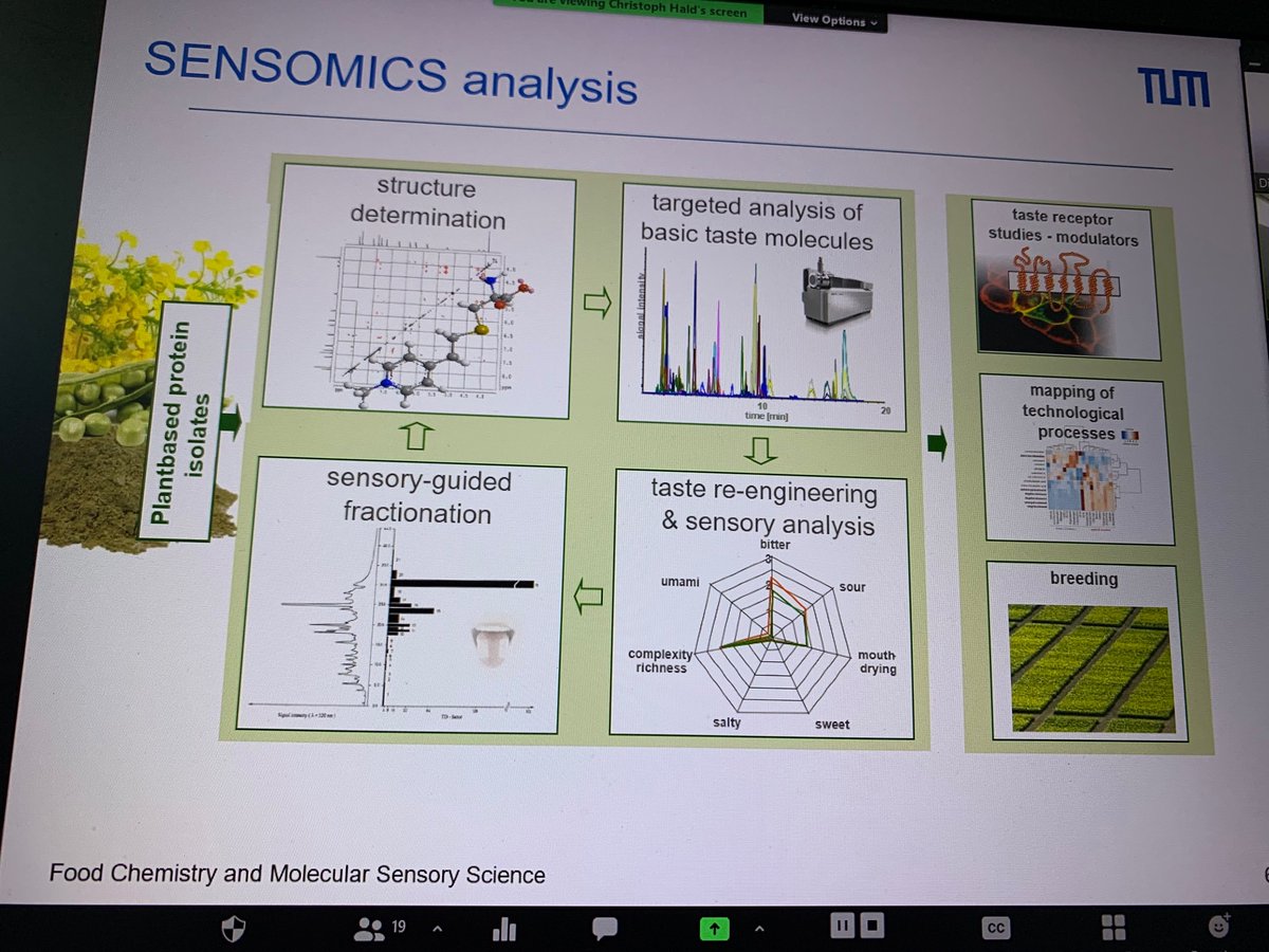 Sensomics of plant-based protein: a critical approach for discovering and mitigating off-flavors in novel plant-based protein ingredients was in the focus of Dr Christoph Hald and Andrea Spaccasassi, TU Munich, Germany presentation #CAFE seminar series.
