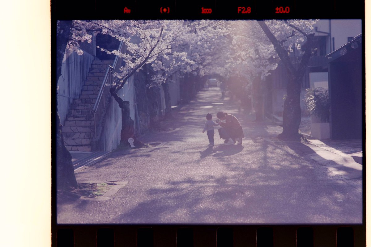 nokigeta's tweet photo. #pentax
#mz_s
#フィルム
#ektar https://t.co/EKe4AgpYUl