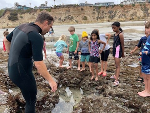 asmith_edu's tweet photo. Saturday's field trip to the local tidepools was a great morning of scientific exploration! Among the critters we observed: sea hares, knobby seastars, anemones, hermit crabs, barnacles, lobster molts, shore crabs, and an octopus! Learning is all around! #dmusd #dmheights https://t.co/YxRUwjGn6o
