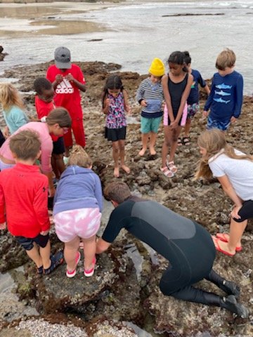 asmith_edu's tweet photo. Saturday's field trip to the local tidepools was a great morning of scientific exploration! Among the critters we observed: sea hares, knobby seastars, anemones, hermit crabs, barnacles, lobster molts, shore crabs, and an octopus! Learning is all around! #dmusd #dmheights https://t.co/YxRUwjGn6o