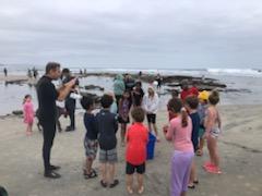 asmith_edu's tweet photo. Saturday's field trip to the local tidepools was a great morning of scientific exploration! Among the critters we observed: sea hares, knobby seastars, anemones, hermit crabs, barnacles, lobster molts, shore crabs, and an octopus! Learning is all around! #dmusd #dmheights https://t.co/YxRUwjGn6o