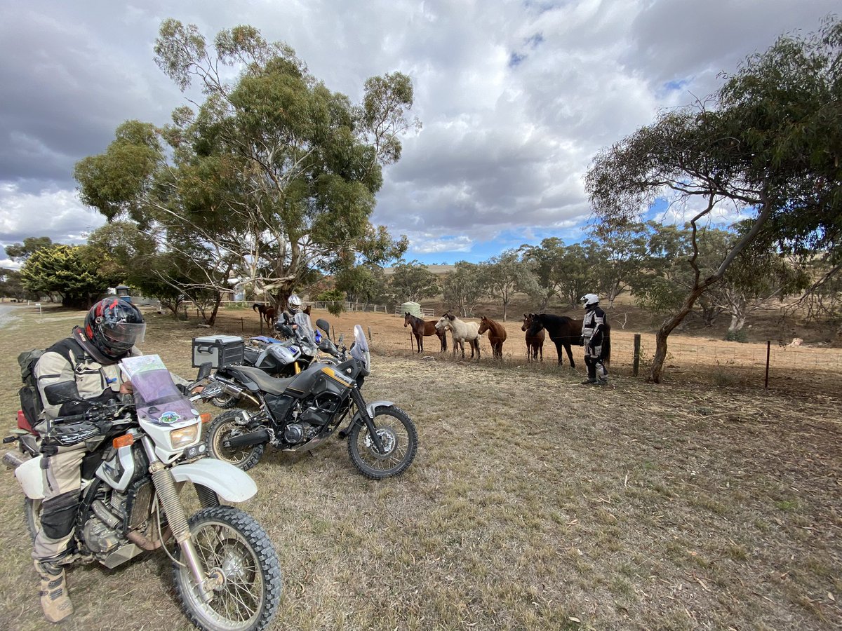 DaleSlattery1's tweet photo. @GSARally #LongNeck #MoreHorsepower #FantasticFour https://t.co/VRTctHn3dN