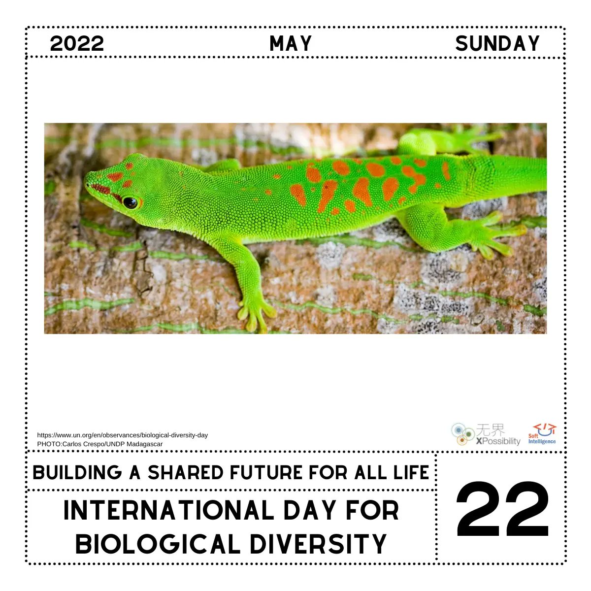 xbilitymm's tweet photo. Biodiversity is the web of life that connects us all. 🍄🐝🦎🐳
For More Info:@UNBiodiversity
#BiodiversityDay #COP15 #ForNature #Biodiversity #Rocking4Biodiversity #xbility #diversity #SDG #UN
@GYBN_CBD @RamsarConv @UNUIAS @IPBES @FAOclimate @CitiesWNature @minamataMEA https://t.co/XcS8DHjtmk