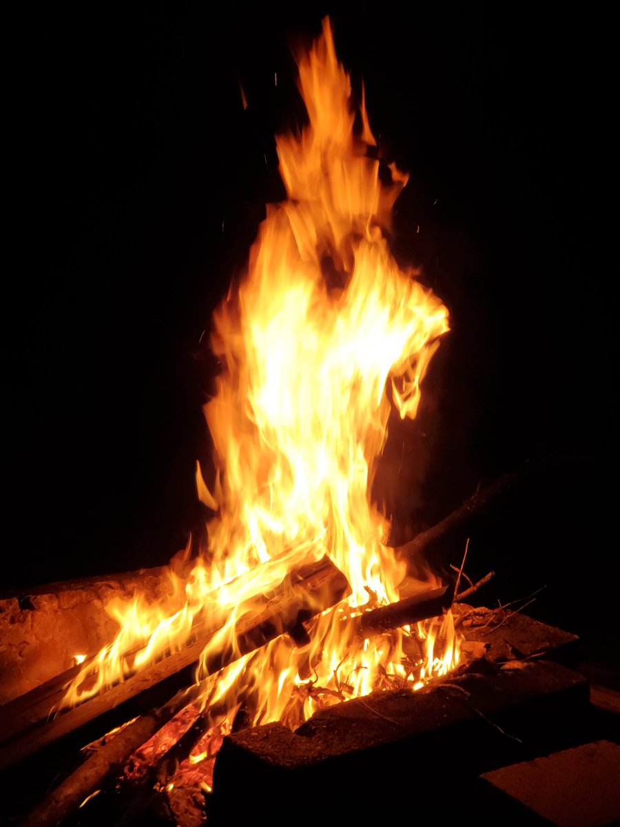 Sirndog (@sirndog) on Twitter photo 