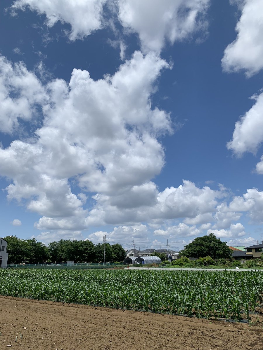 poko0615's tweet photo. https://t.co/KGZTRt1NFG