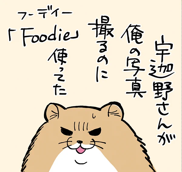 さちおの報告 