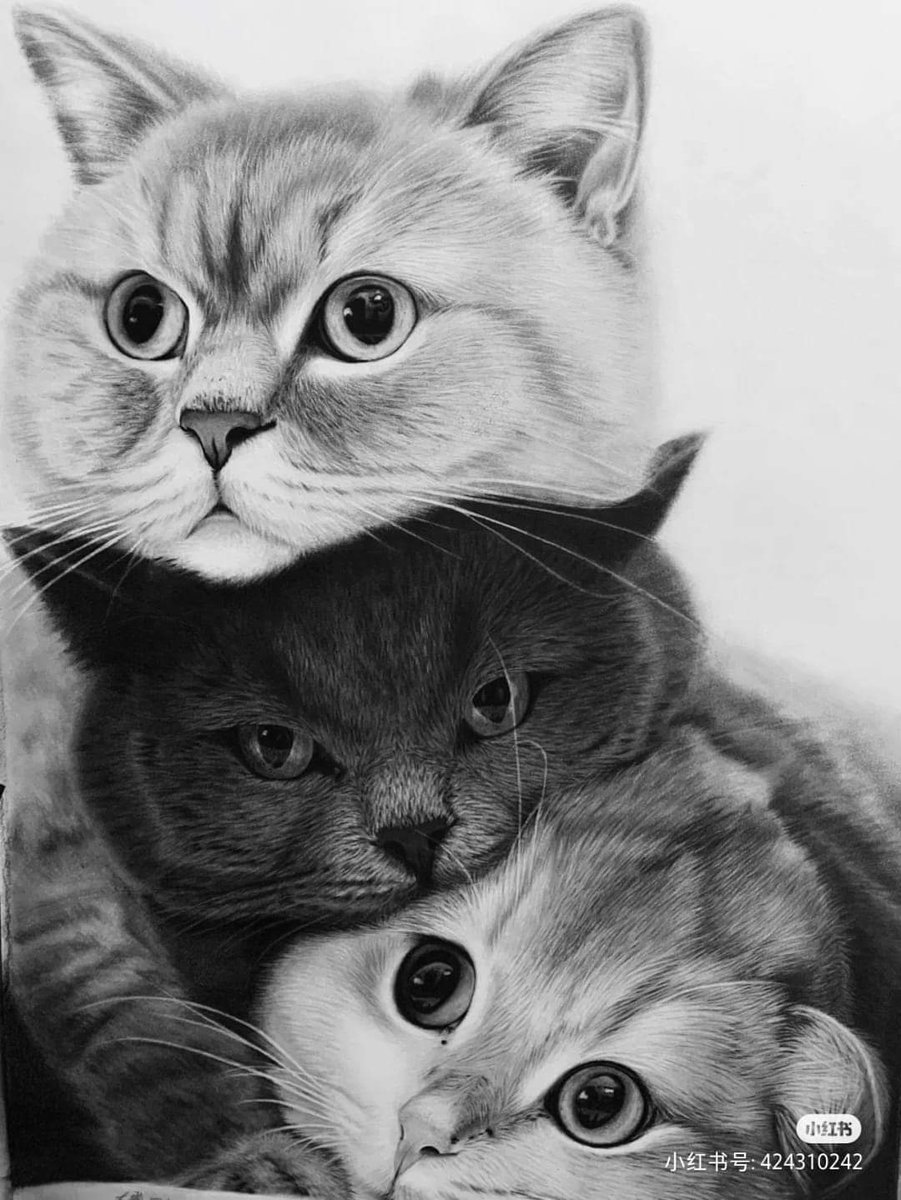 AegPsa's tweet photo. Are we cute? (1) https://t.co/5gkIgeIQcJ