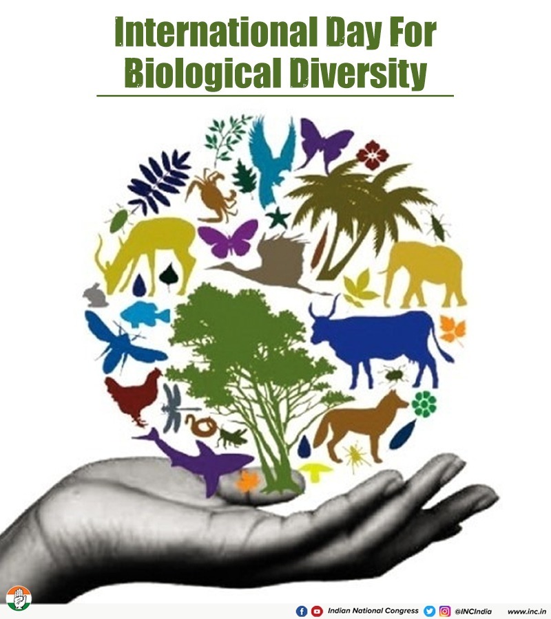 International Day for Biological Diversity is celebrated to spread  awareness about biodiversity and its critical challenges. Smt. Indira  Gandhi's relentless efforts towards India's wildlife conservation continues  to inspire us & generations of