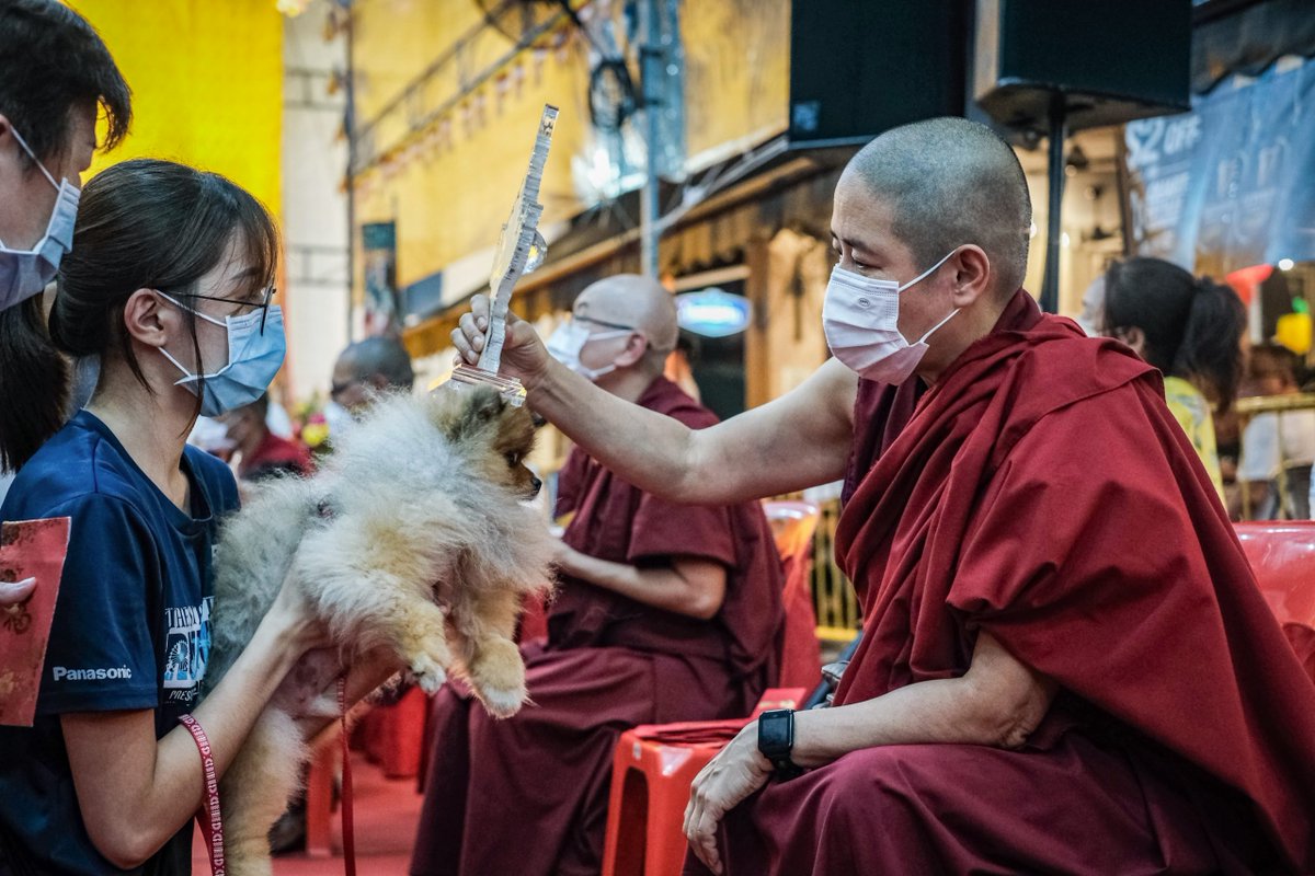 rice_media's tweet photo. For the first time, this temple in Jalan Besar is allowing pets to receive blessings from their Venerables. We head down to speak to them on Vesak Day. https://t.co/xSENjsBIzF